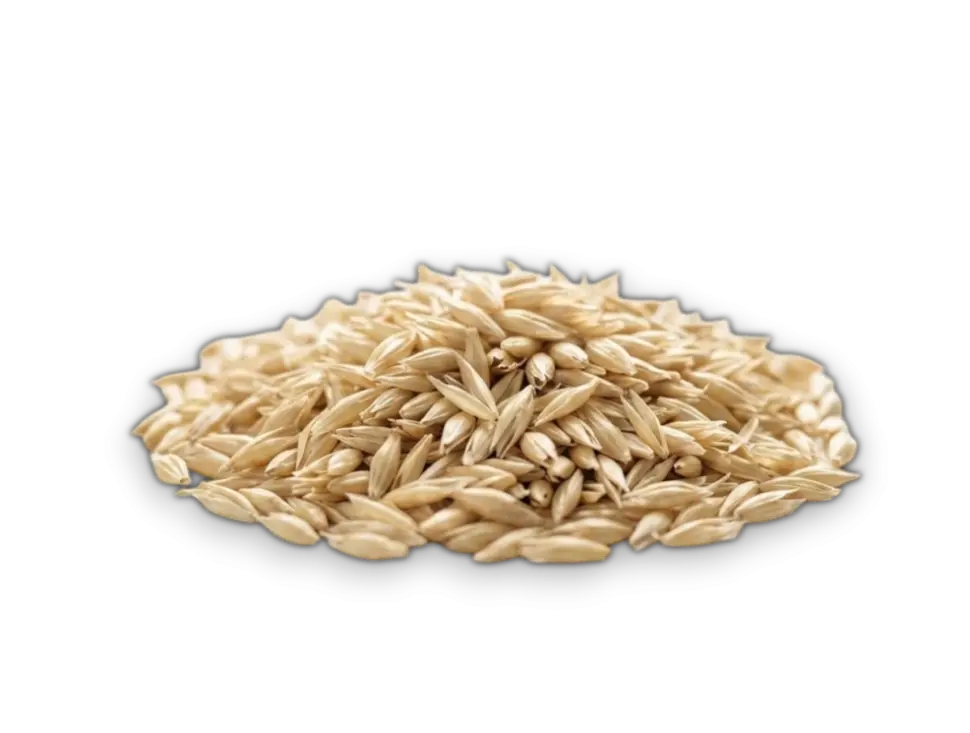 Pula di Farro